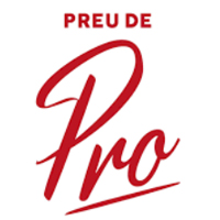 PREUNIVERSITARIO DE PROFESORES
